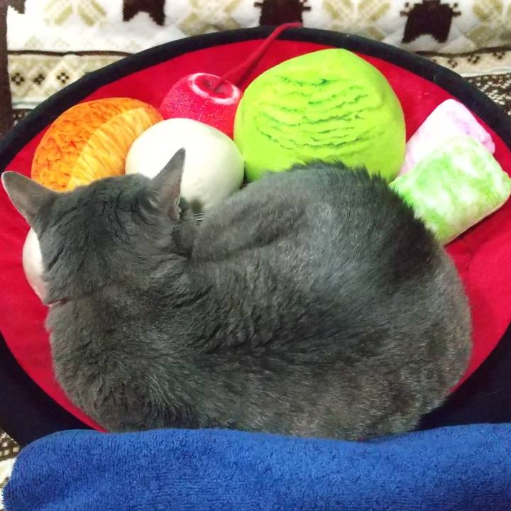 20bd07ee 3fe6 4446 ae6c f6cac455de73 1668773409642