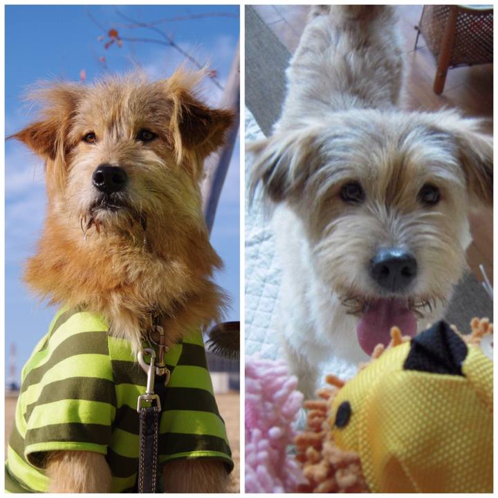 20bd1155 f842 4ba7 993c 090849040159 1555921193095