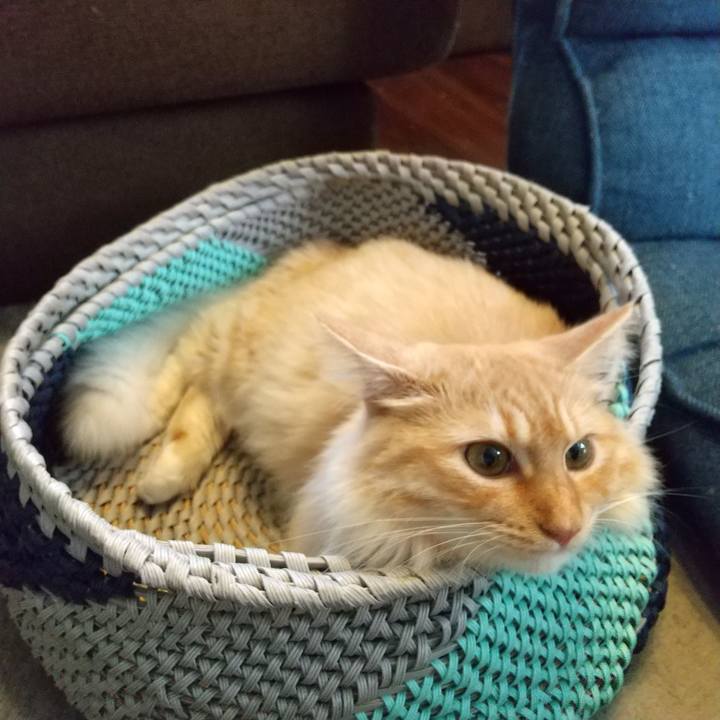 20bdd4ac 3b60 4384 97d0 81429da15bd2 1625280921712