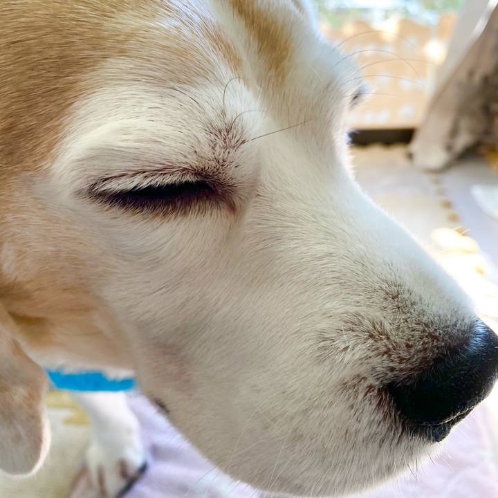 20bdddaa b548 4b45 ba3a d9210b7b8e42 1609559202651