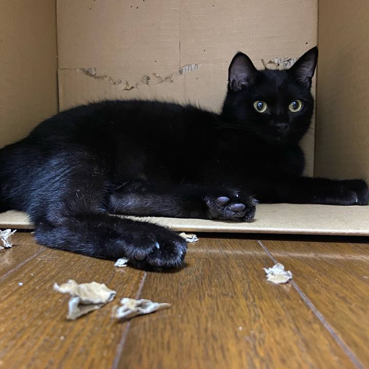 20be2c9a bf3e 41bf 9778 b9115ce65b15 1630762069659