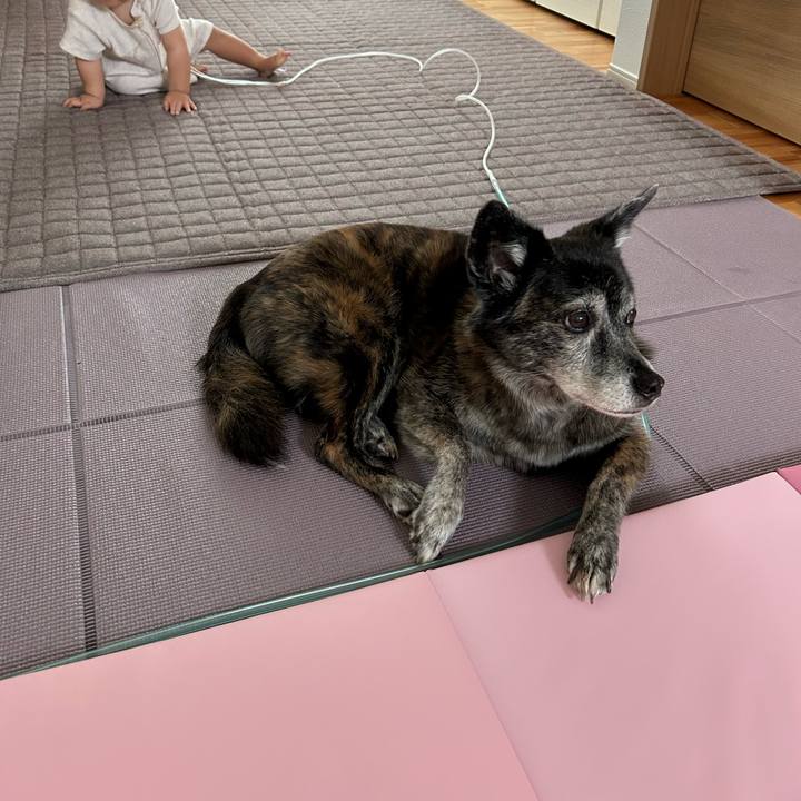 20be3db5 d043 426d a659 46eab45a37e6 1734056555173