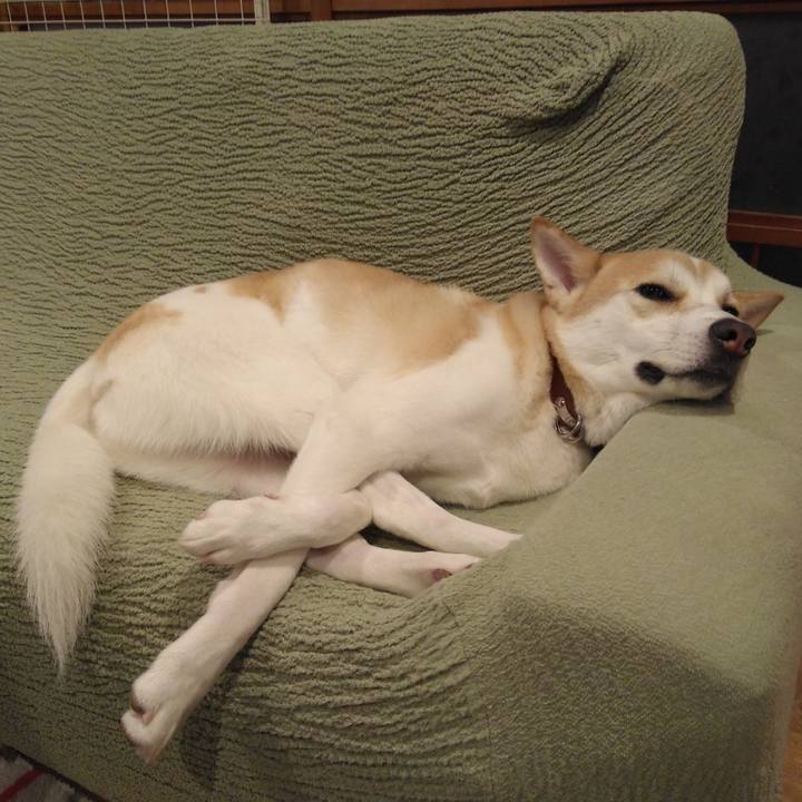 20be4255 13e0 4cdb 974a 5e10fe23a8ff 1542461826852