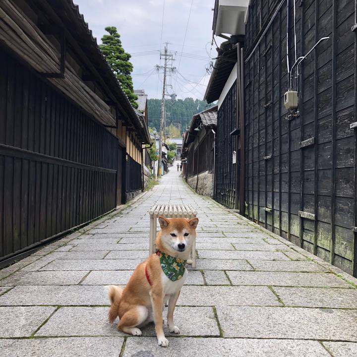 20be53ed 1c59 4f3a 8ab2 0ca6ce7691e8 1539940990621