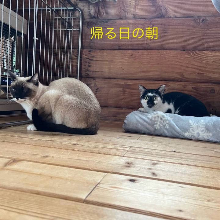 20be5e32 7d05 4ae0 8a56 c0b540cffbbb 1736124017100