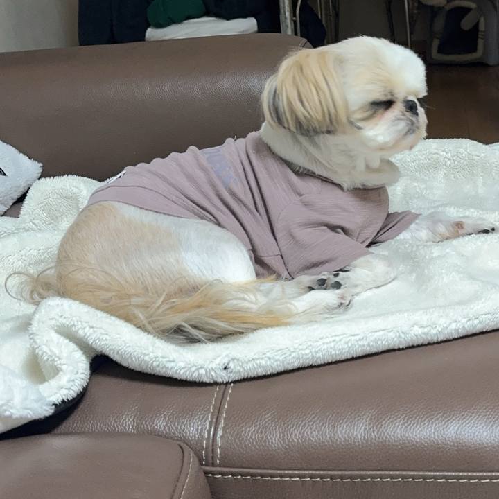 20be660e 6096 40cf a529 08f4c647325f 1742556121724