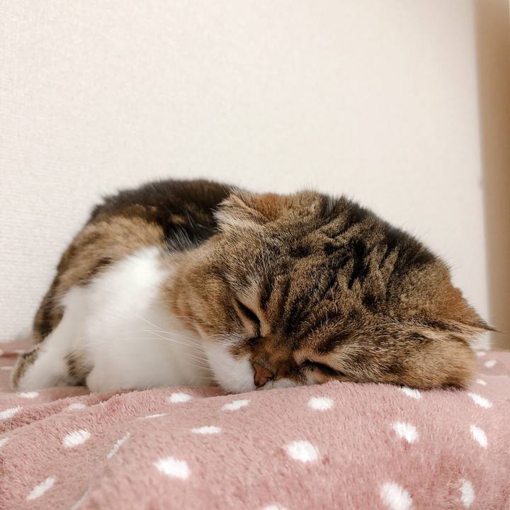 20be8825 f834 4cd7 b47a 68d70b421ac0 1556344597244