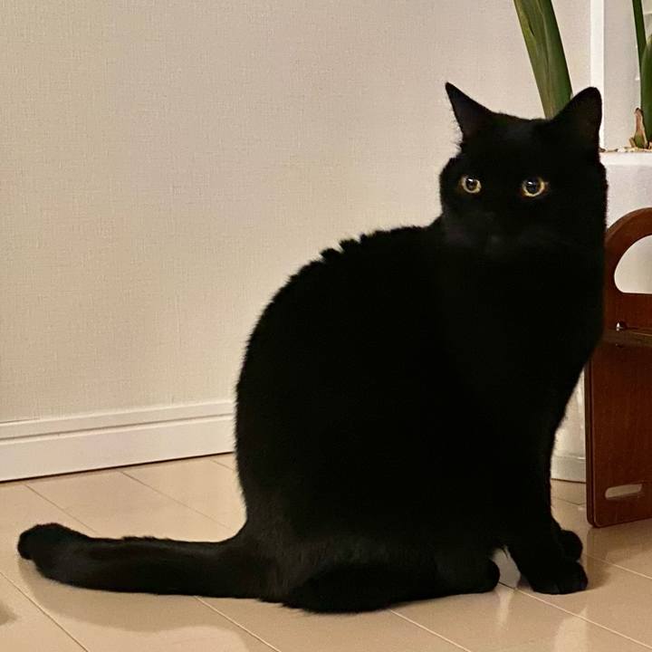 20beb4d5 51f3 40c1 a6b9 909da617e825 1645179745335