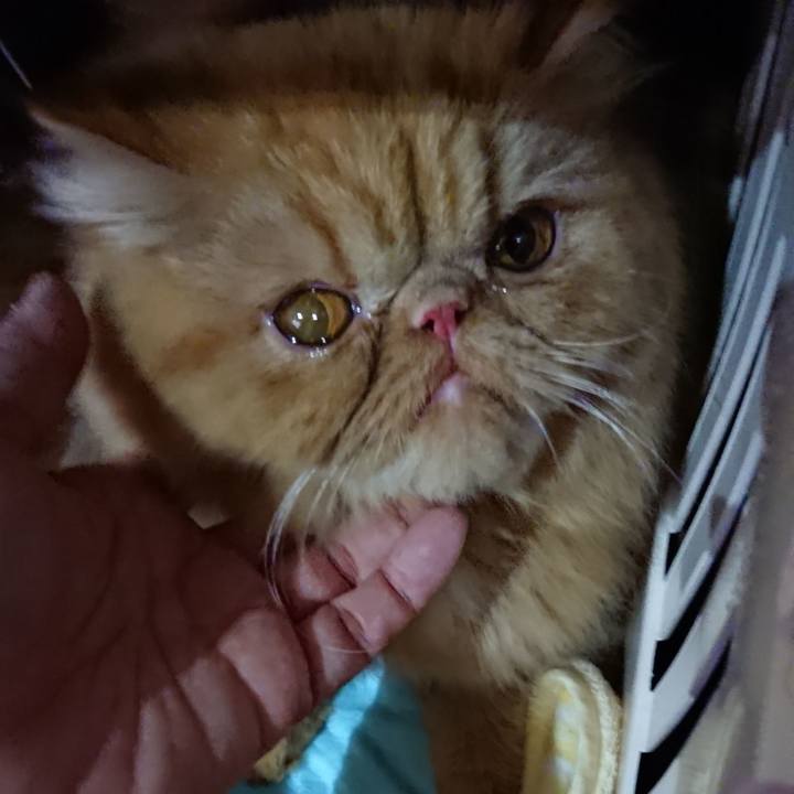 20bf056f cf06 4aec 9649 15142ba4c17a 1574496015102