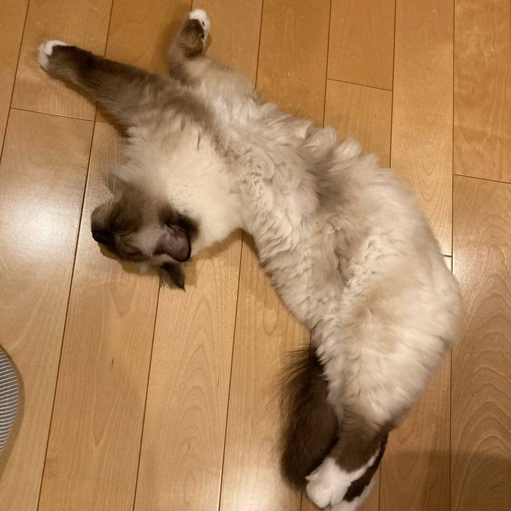 20bf085e 325c 40e0 b1ed 248f8827d481 1599831649017