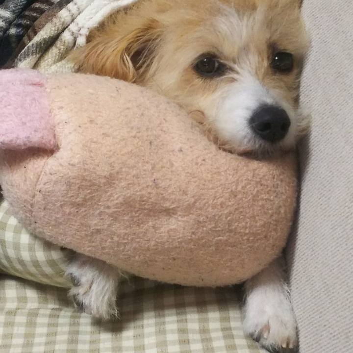 20bf11b1 525b 4b14 9e33 78d97a7b0659 1511684067824