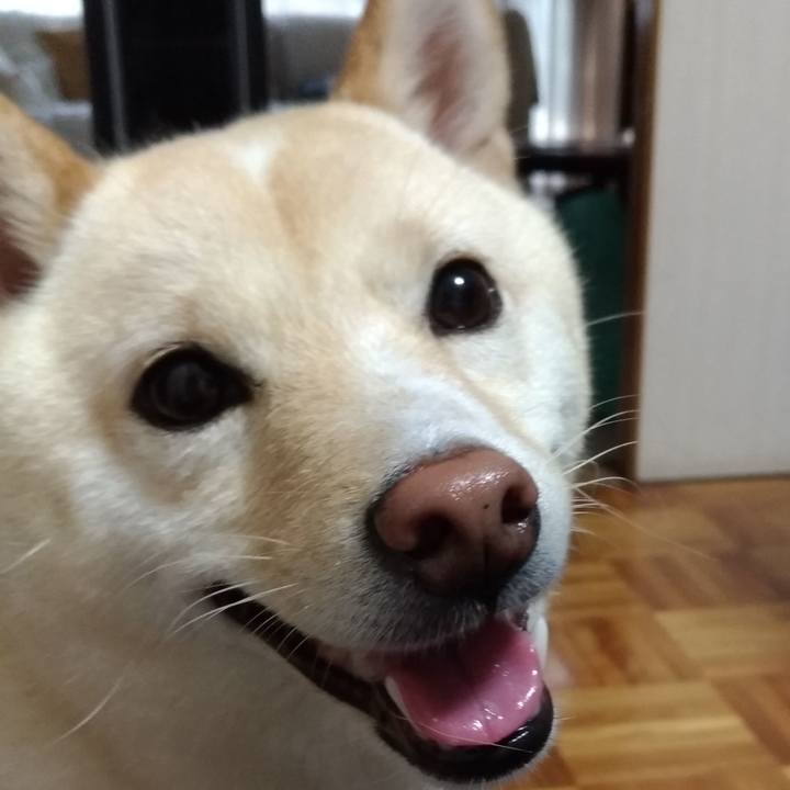 20bf5907 72f5 46d5 b7d8 80677c2e9b88 1568240605120