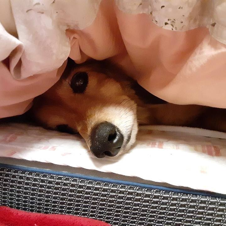 20bf8160 529a 4628 80a3 d2682bb97772 1649334284321