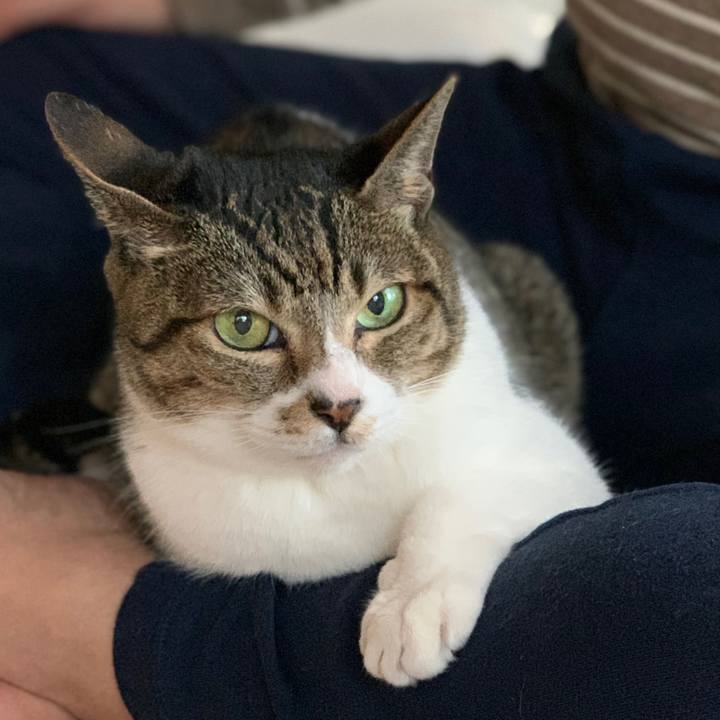 20bf90c6 157d 45bd 92c8 7bd848cd0d5b 1571706796392