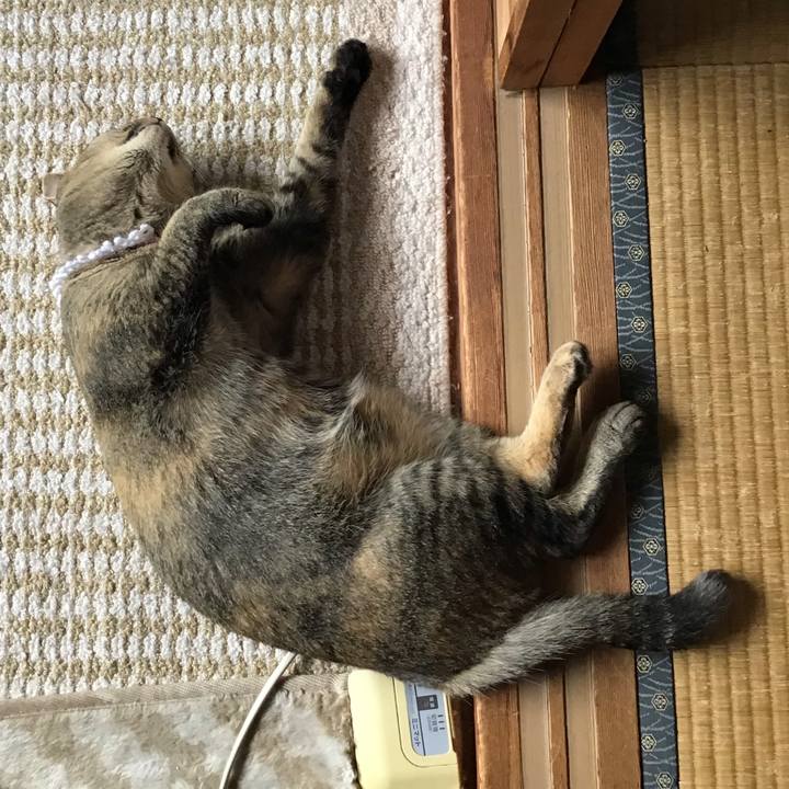 20bf9a9c 32e0 4981 83e3 3a503b3ac16a 1596958467474