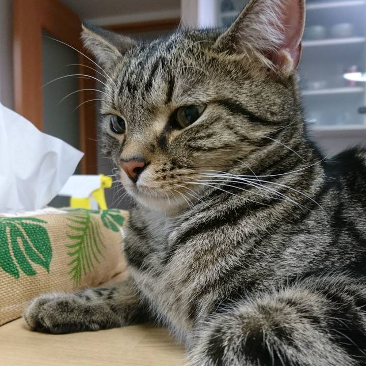 20bf9fad c1c5 4999 8ae3 d207fe21d9b0 1512820527652