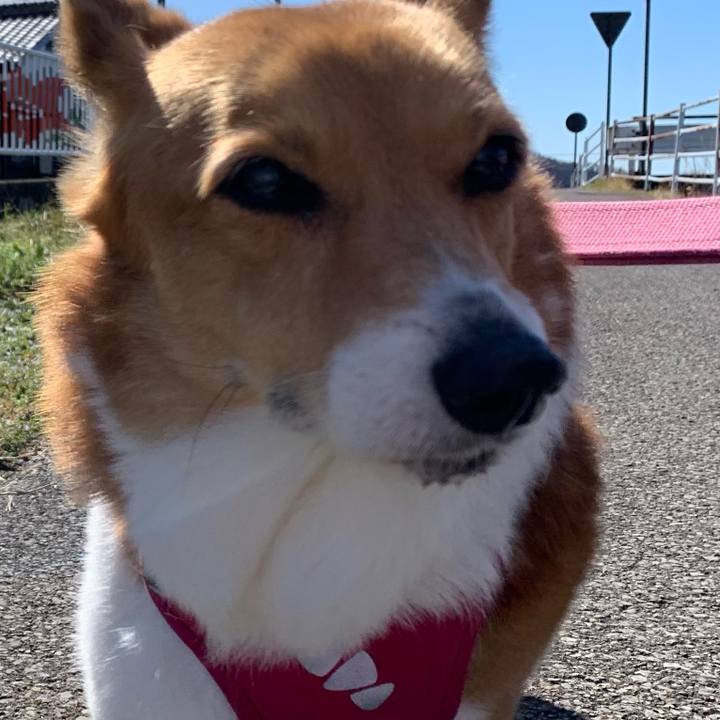 20c00643 5f1e 42db be50 b23115a97c84 1708914137498