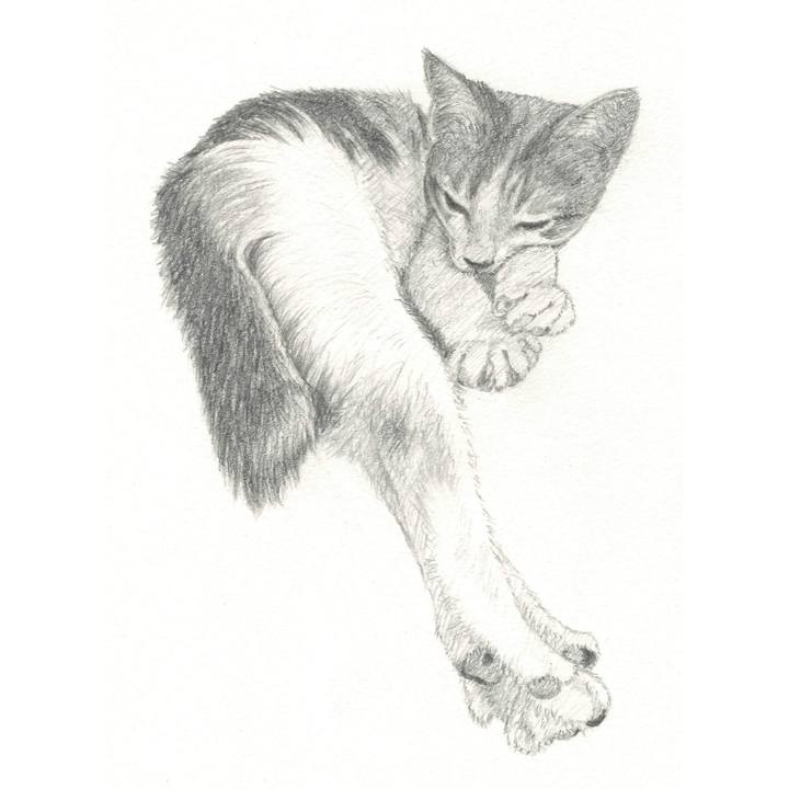 20c00ab3 adf1 4ef6 b048 26899b21d889 1539780391365