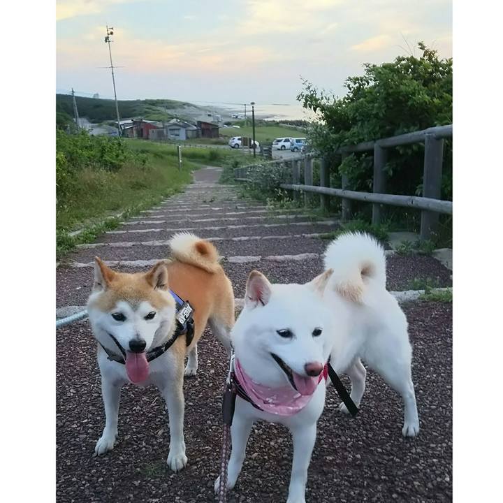 20c02cd6 045e 4c3f 89f6 a12f2bd1d49f 1531739850595