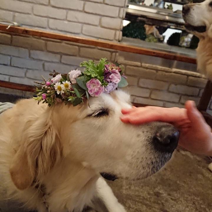 20c064db 12cd 4226 bdcf 00f7bca85791 1553487994028