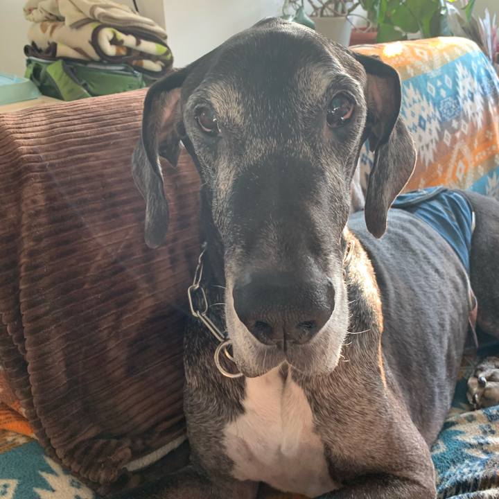 20c0c7d2 3ab3 43b0 baa6 e2b844bc3a23 1606430855022