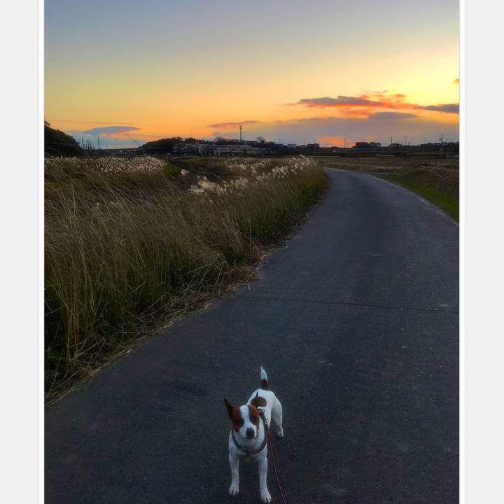 20c0df94 dc62 4efe 822c 78f1e3872a01 1513158712097