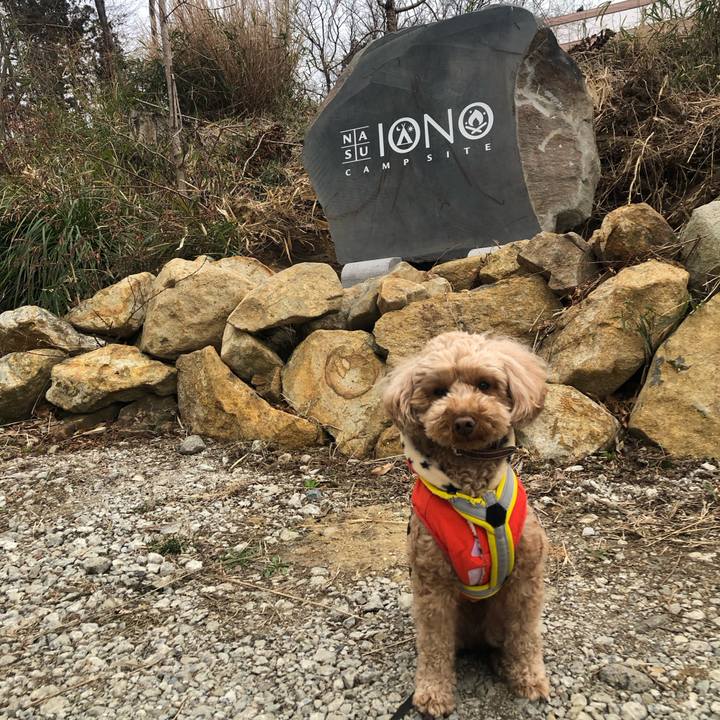 20c0f0c9 ae06 4698 acda caf575084724 1775918218415