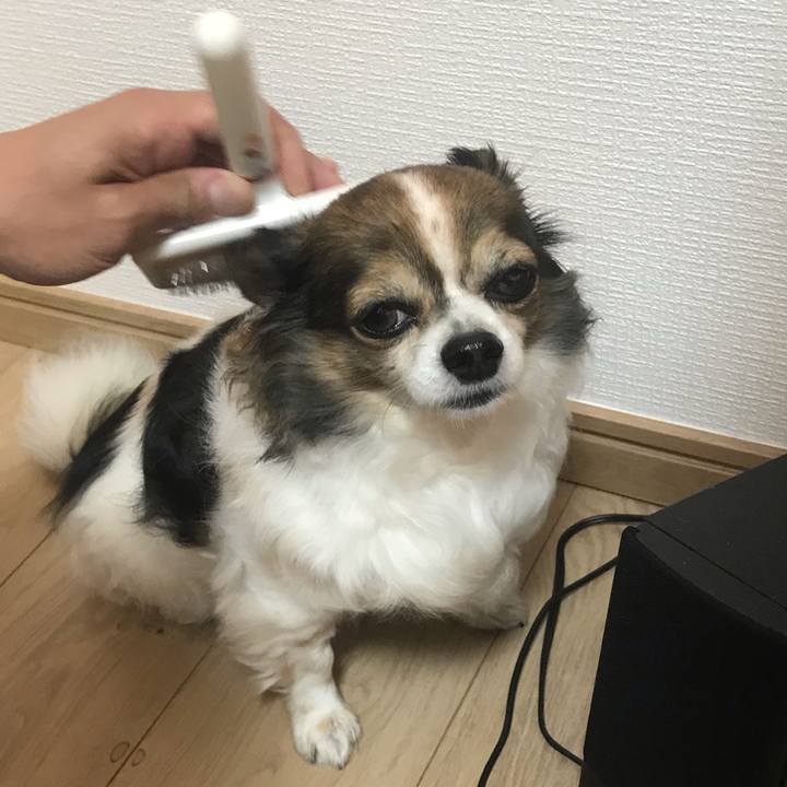 20c10ad4 b9c5 4b40 beab 1052d7a392c0 1653279846298