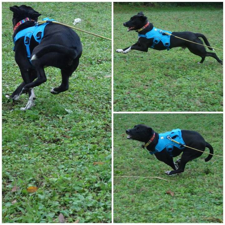 20c131d1 db0d 4ae4 93de 958a3227916a 1604279135931