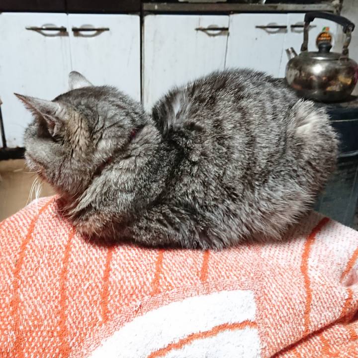 20c15943 0794 48e0 b420 10a7774c9795 1584391122862