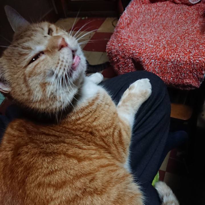 20c15a40 87d2 414a a855 45bf5b15a1ba 1580115399091