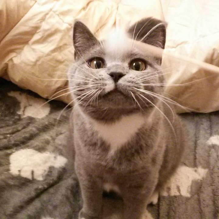 20c16a9b c155 4cc6 ac87 ae77006d6022 1552376512806