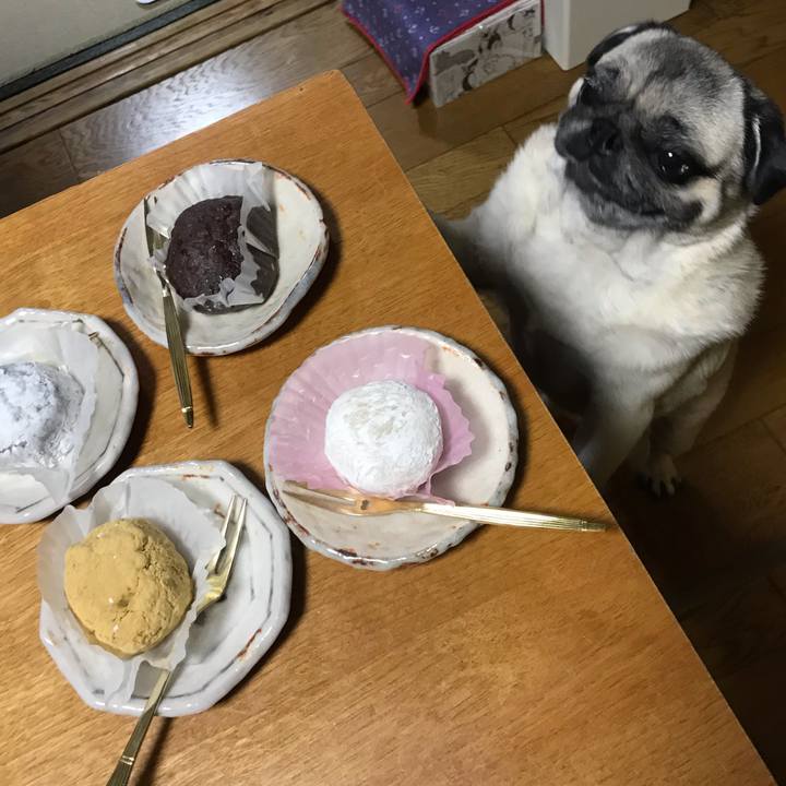 20c176e4 a76d 4722 8f98 e9bc243eade7 1570972543166