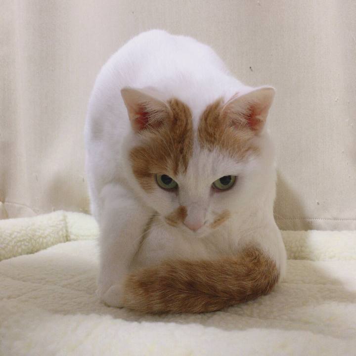 20c17efd a772 4973 8a75 090a9a675fc6 1509194200732