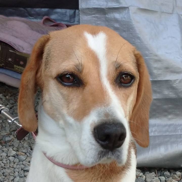 20c1abe6 8d56 4739 a686 6b55b42532d4 1595125619059