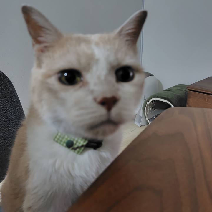 20c1e171 c290 40ce 8d91 1cc08209935c 1727321489702