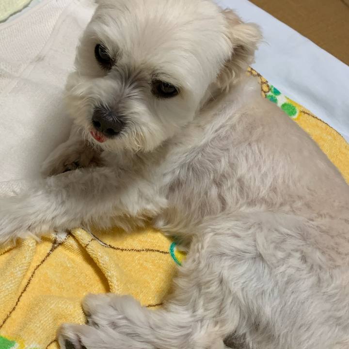 20c1e648 340f 45aa 9555 bc0e97fa3dd9 1589800318711