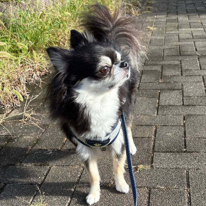 20c1f230 d480 46fd 9448 80cec878b75c 1760287514556