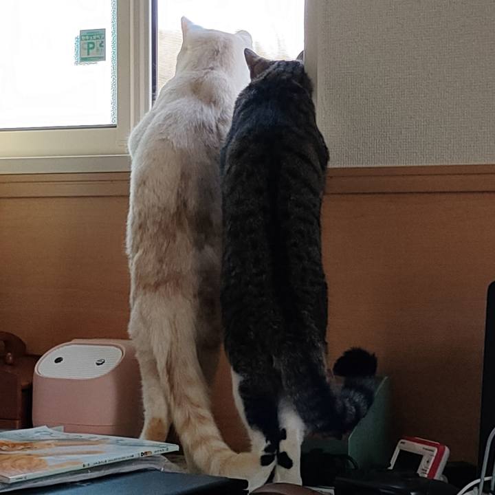 20c21211 f051 43bd 9f9f 40c0316c9eaa 1649230562092