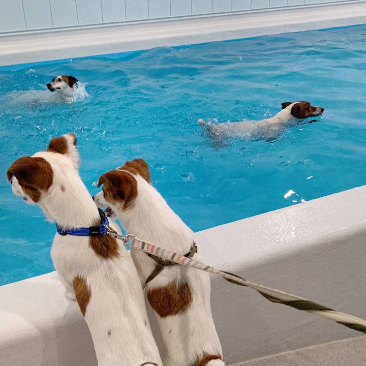 20c23ba4 14e9 4d4c a27f 72ada950d007 1652871803814