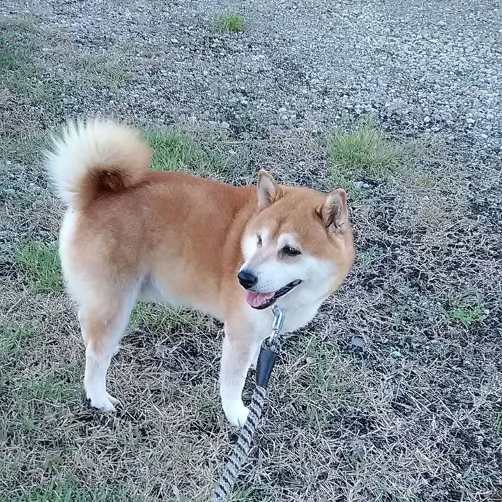 20c24067 d2a9 4016 b79e edb66f1646e8 1693264592844