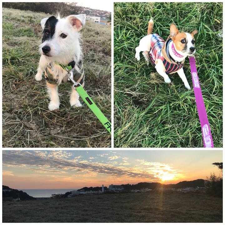 20c244d0 936c 472b bc26 f28ed9d15eeb 1509092952138