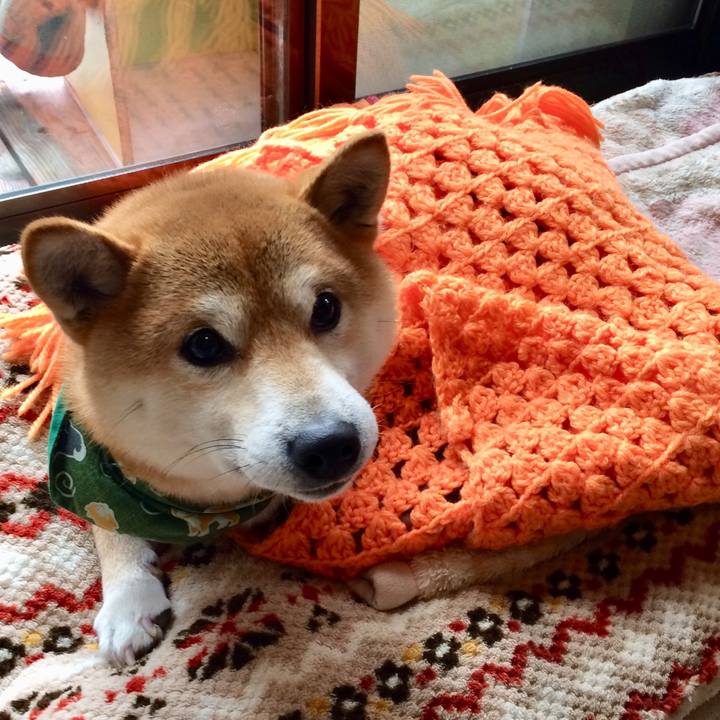 20c245e7 f49a 4ca1 8082 67e3a5f211b1 1517128714403