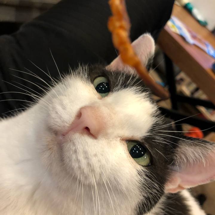 20c293c4 b3f5 4d0f 975b 8522029f52a3 1656281053986