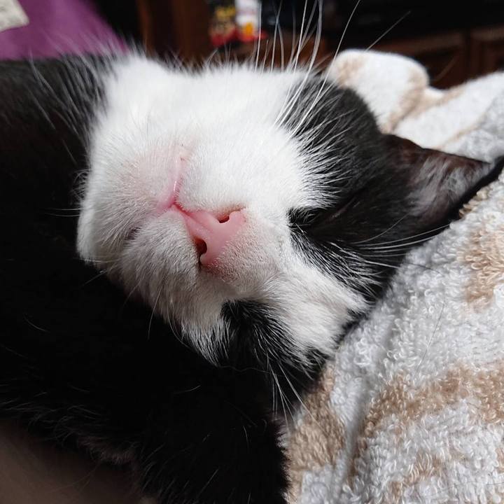 20c2c923 88fc 4457 bdba 50e48171ae38 1563203069786