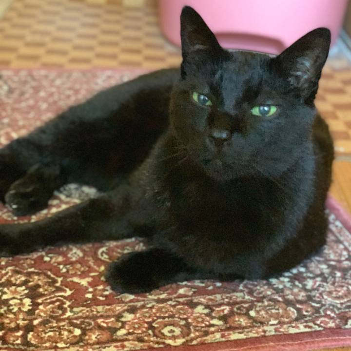 20c2e70d 8163 47dd 9aec 8ea669379d6e 1590888511635