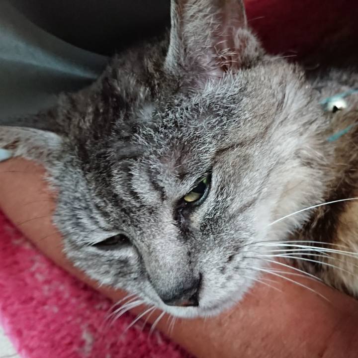 20c2ea2a 91c1 4c4a 8408 1b00c345a4e0 1564782884045