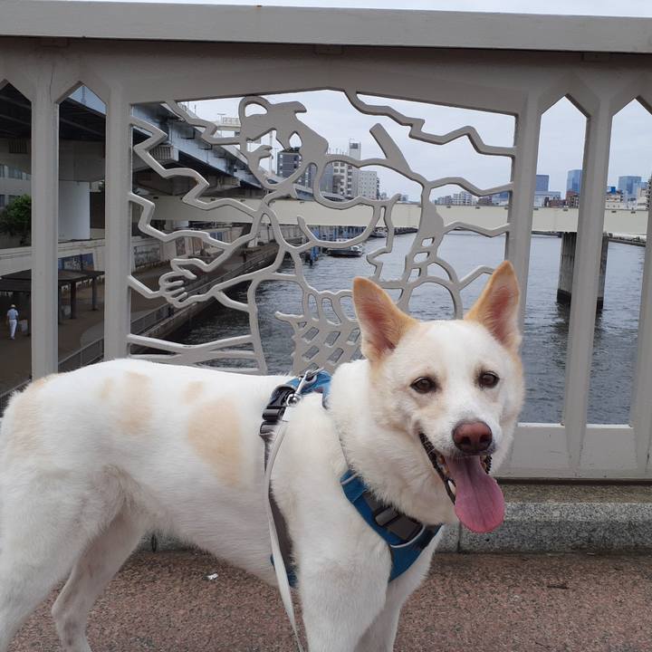 20c30d0e 190c 4612 83c7 069eb6536c22 1662869830667