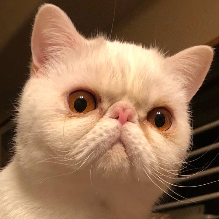 20c34c25 8511 4747 a9ef e6b6e0835559 1612958832083