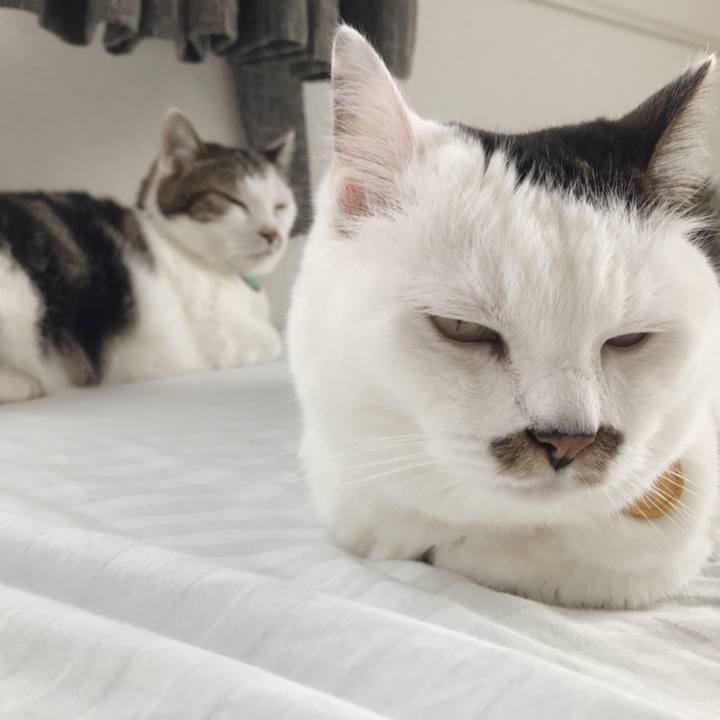 20c34e00 26f9 449c 9fe3 8390f373c6f3 1563073105678